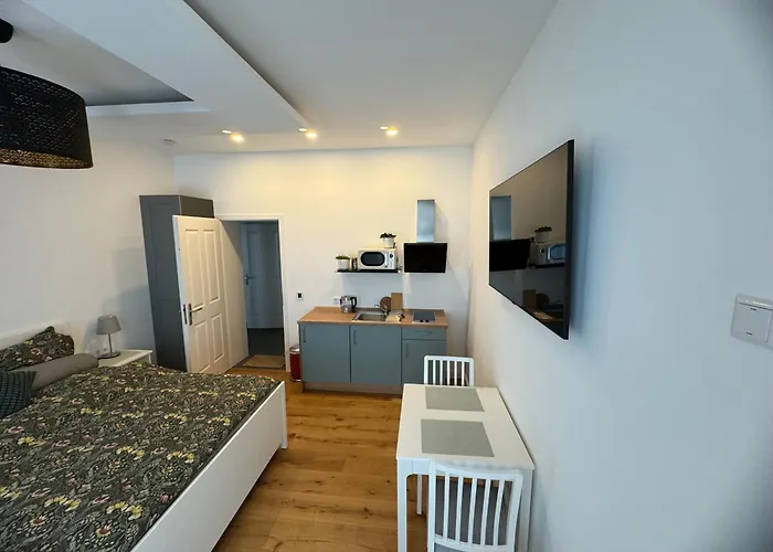 Boutique Luisengruen Kueche 1gbs Wlan Netflix Magentatv Pensjonat Chemnitz