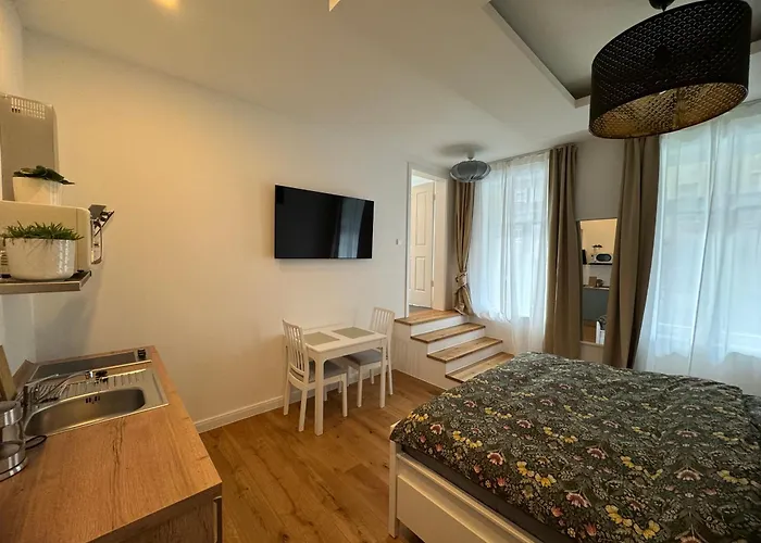 Boutique Luisengruen Kueche 1gbs Wlan Netflix Magentatv Chemnitz